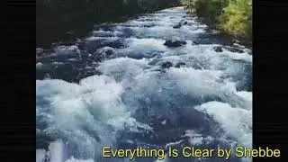 EVERYTHING IS CLEAR ☀️| Shebbe | #006