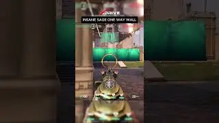 INSANE SAGE ONE WAY WALL