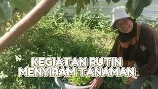 ROUTINE ACTIVITIES OF WATERING PLANTS