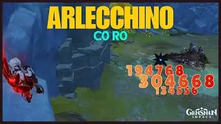 Arlecchino C0R0 vs Primo Geovishap | 300k | No food buffs