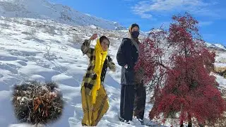 Сбор боярышника в заснеженных горах Ирана ❄️🍒 | Тяжелая жизнь кочевых девушек