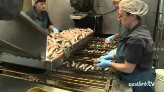 IMO Foods on Maritime Made