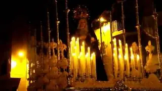 Palma. Domingo de Ramos Elche 2019