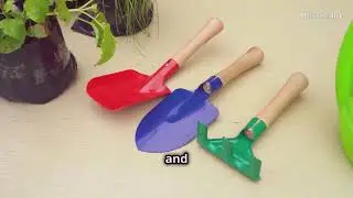 URBAN FAMILY FARMING Live Stream