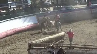 Primer animal, rodeo club de huasos criollos Longovilo 11 / 01 / 2026