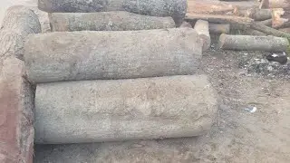 Don't Paly with Danger! Wood Cutting Danger Zone Difficult to Work | Fear of Wood Cutting Works