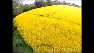 run complete ( acro fpv ) 250 dys 1806 afro esc 12amp 3s 1300