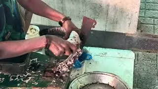 కోరమెను చేపలు/Fish Market Kakinada