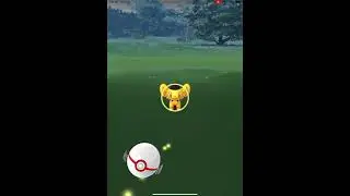 Pok&eacute;mon Go Shiny Shinx Top Hat