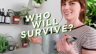 TESTING PLANTS THAT SURVIVE IN ZERO LIGHT!?