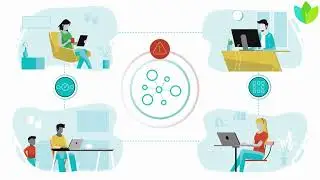 Secure Access Service Edge SASE solutions