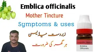 Emblica officinalis homeopathic medicine | emblica q benefits | emblica q use in urdu