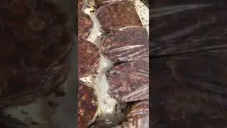 طريقة دحي التمر أي كنز التمر ضميد في المنزل - سليمان السهلي الجزء الثاني 2