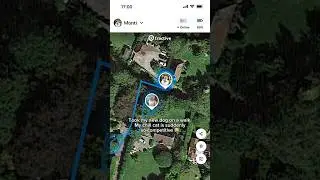 Sibling rivalry be like 🤣 #tractive #smarttracker #dogsandcats #petparents
