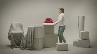 APCQ - D&eacute;m&eacute;nagement
