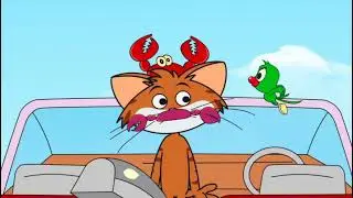 Cat And Keet in Beach Fight