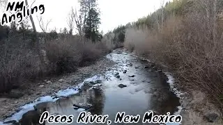 SHALLOW RIVER TROUT FISHING in NEW MEXICO
