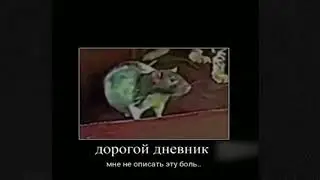 Дорогой дневник...Мне не подобрать слов чтобы описать боль и унижение которое я испытывал сегодня