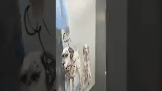 &lsquo;Stillness&rsquo; an oil painting by Nicole Pletts #dalmatian #painting #art