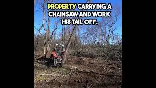 Land Clearing with a Tree Saw #skidsteer #logging #kubota