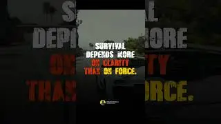 🧠 Clarity Outperforms Force in Survival