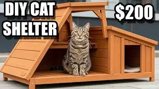 DIY Outdoor Cat Shelter for Stray Cats - Wooden House Build (2026 Budget $200)