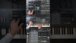 Arturia Polybrute: FM, Noise Filters Clang!