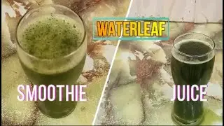 Waterleaf Juice & Smoothie