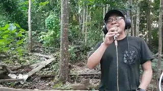Be My Lady - Martin Nievera Covered by: Bong