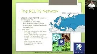 Protecting oak trees for future generations in Europe and Central Asia
