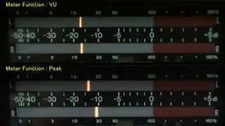 Peak Program Meter