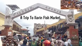 Price of Smoked Fish at Idiape Fish Market Ilorin