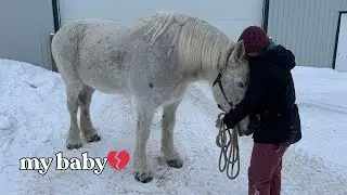 Полли скончалась💔