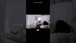 The Purrfect Alarm: Hilarious Cat Wake-Up Call That Will Brighten Your Day!