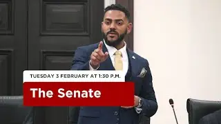 20th Sitting of the Senate - 1st Session - 13th Parliament - February 3, 2026