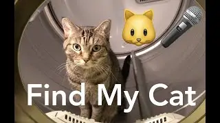 DaBaby - Find My Way Remake 🐱🎤 Cat Rap - Find My Cat