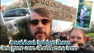 Cut your own Christmas Tree. Crockford Bridge farm Surrey #christmas #christmastree #farm