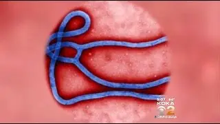 Infectious Diseases Doctor Weighs In On Ebola Concerns In U.S.