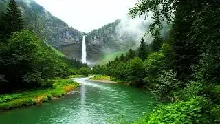 Harmonious Healing Music for Deep Sleep☘, with Stress Relief & Gentle Relaxing Music of nature soun