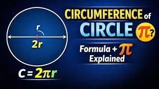 Circumference of Circle Step by Step | Radius, Diameter, &pi; Explained Simply