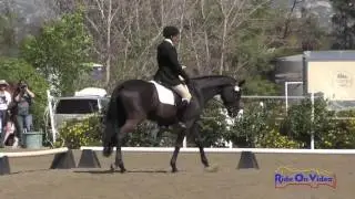 215D Robert Kellerhouse on Reine Noire Open Beginner Novice Dressage Copper Meadows March 2017