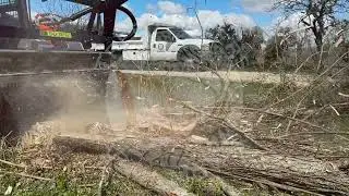 Tree Fellers