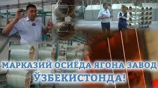 Ноёб шиша толаси энди Ўзбекистонда тайёрланади!