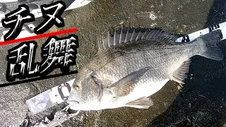 これが西伊豆の堤防だ！！