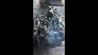 Ford 1.5 DCI CN10 Diesel Engine Start | Tested & In Stock at LDR