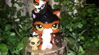 WARRIORS STYLE: Don't Judge MAPLESHADE AND LARCHKIT, PATCHKIT, AND PETALKIT (WARNING: SAD!!!!)