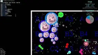 senpai-agar.online Gameplay Winning#5