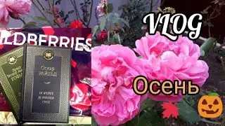VLOG Книги Купить | Осень | Пожар | Домашние дела Кубанские |Марина Солнцева