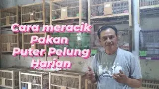 Cara Meracik Pakan Harian Puter Pelung @sugitokambojaBF