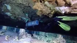 Amazing Halocline Sistema Murena